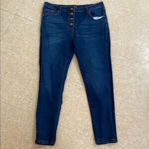 Parisian Works High Rise Blue Jeans with Modern Stretch